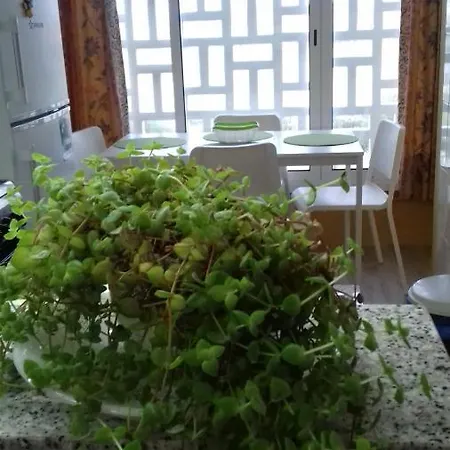 Penareia Apartment Peniche
